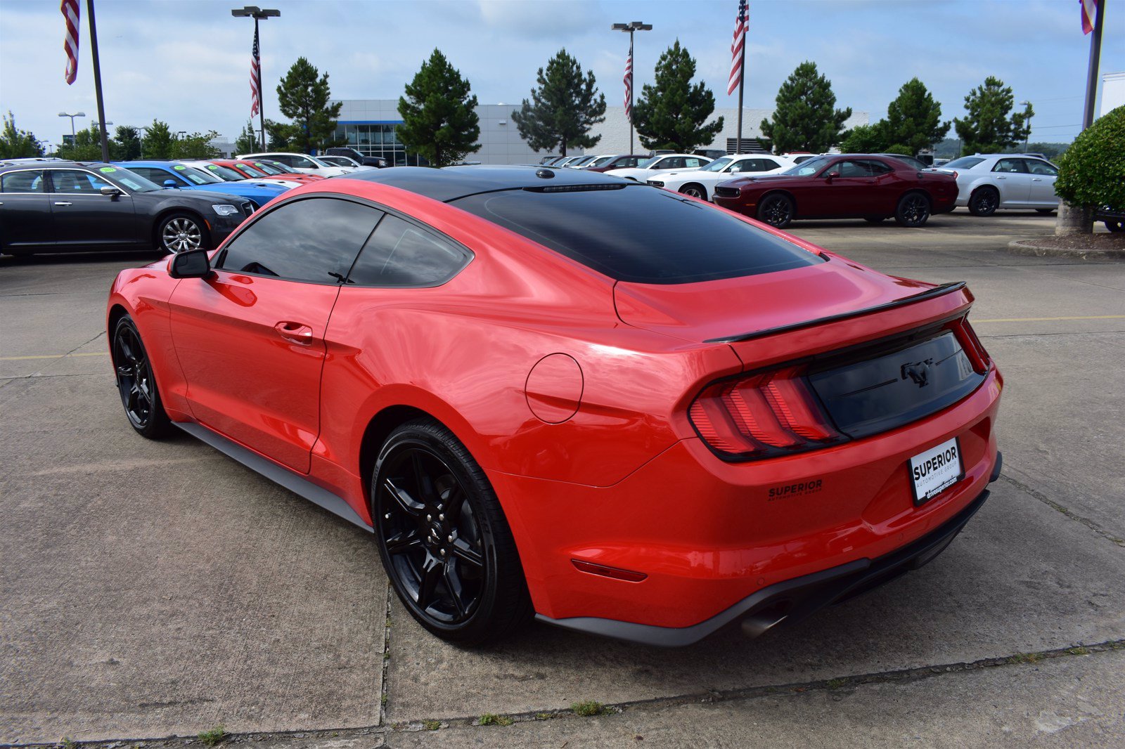 Pre-Owned 2020 Ford Mustang I4 2dr Car in Fayetteville #DD157397A
