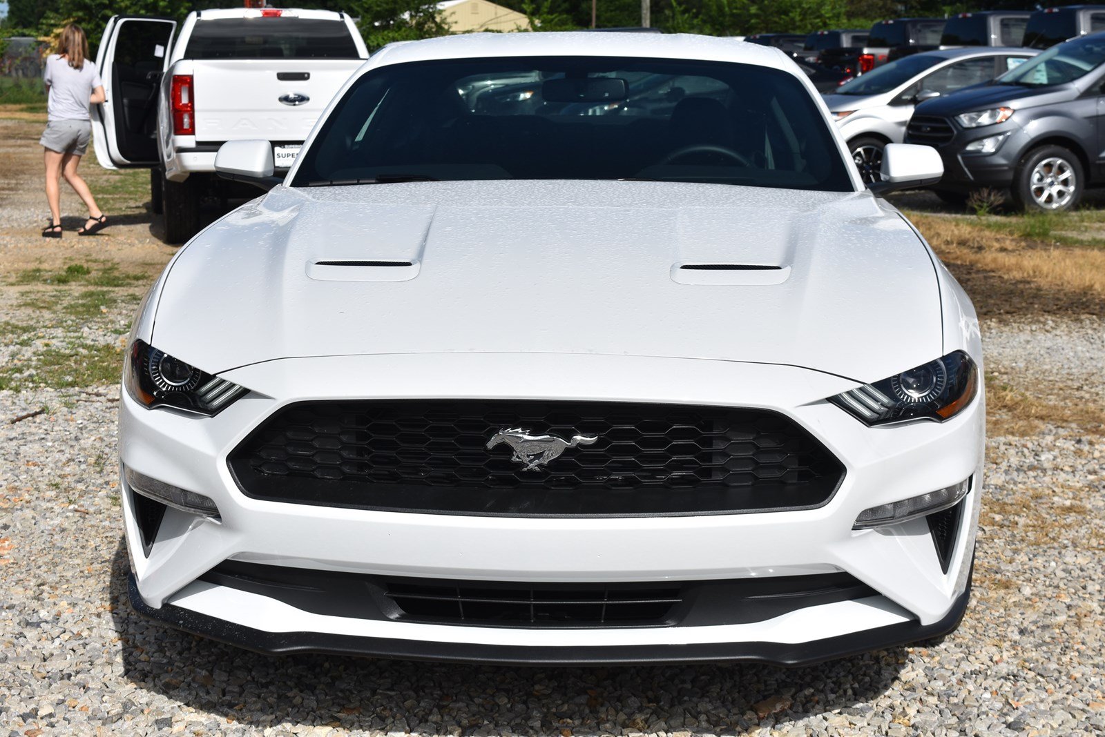 New 2019 Ford Mustang EcoBoost 2dr Car in Fayetteville 