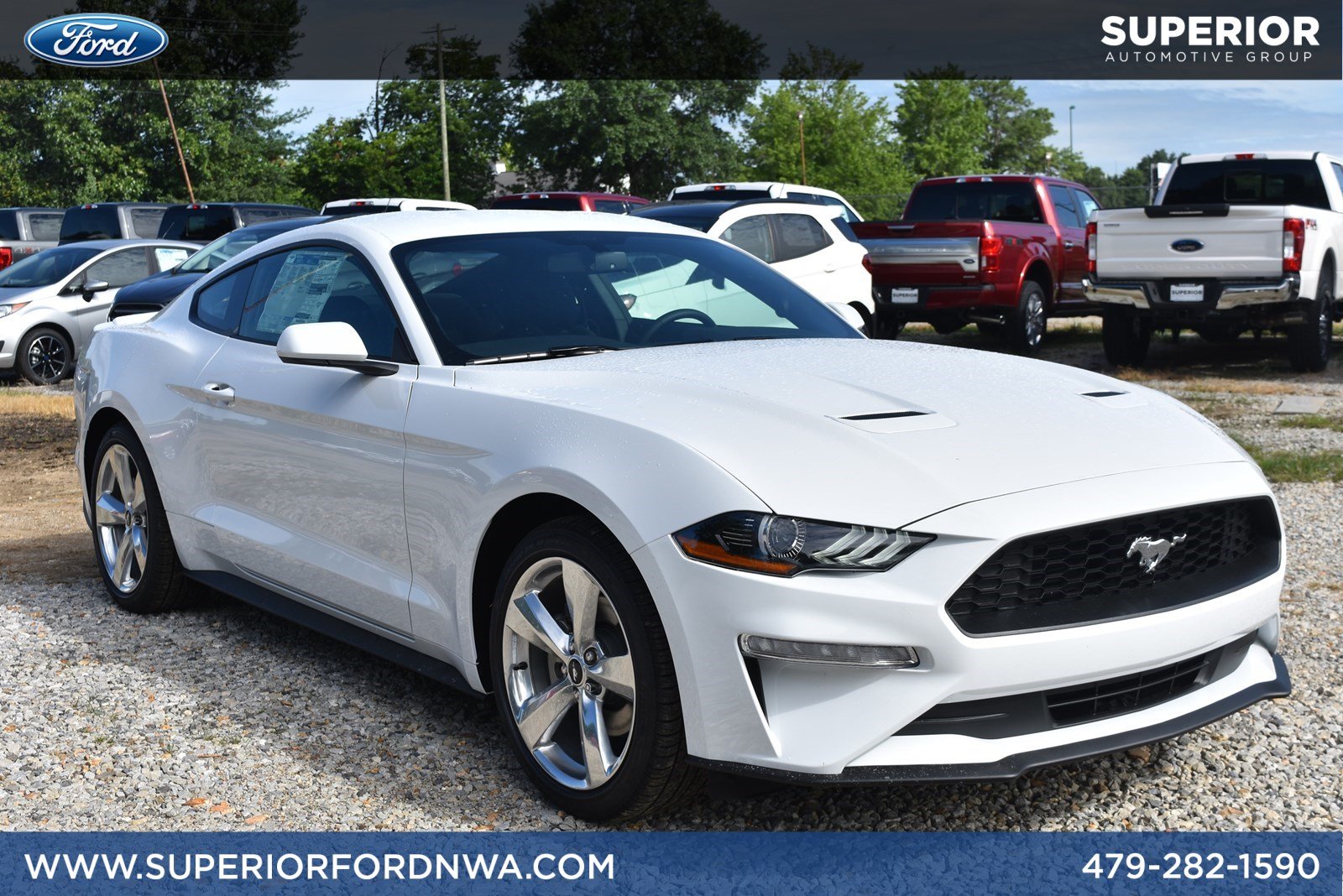 New 2019 Ford Mustang EcoBoost 2dr Car in Fayetteville #F191546 ...