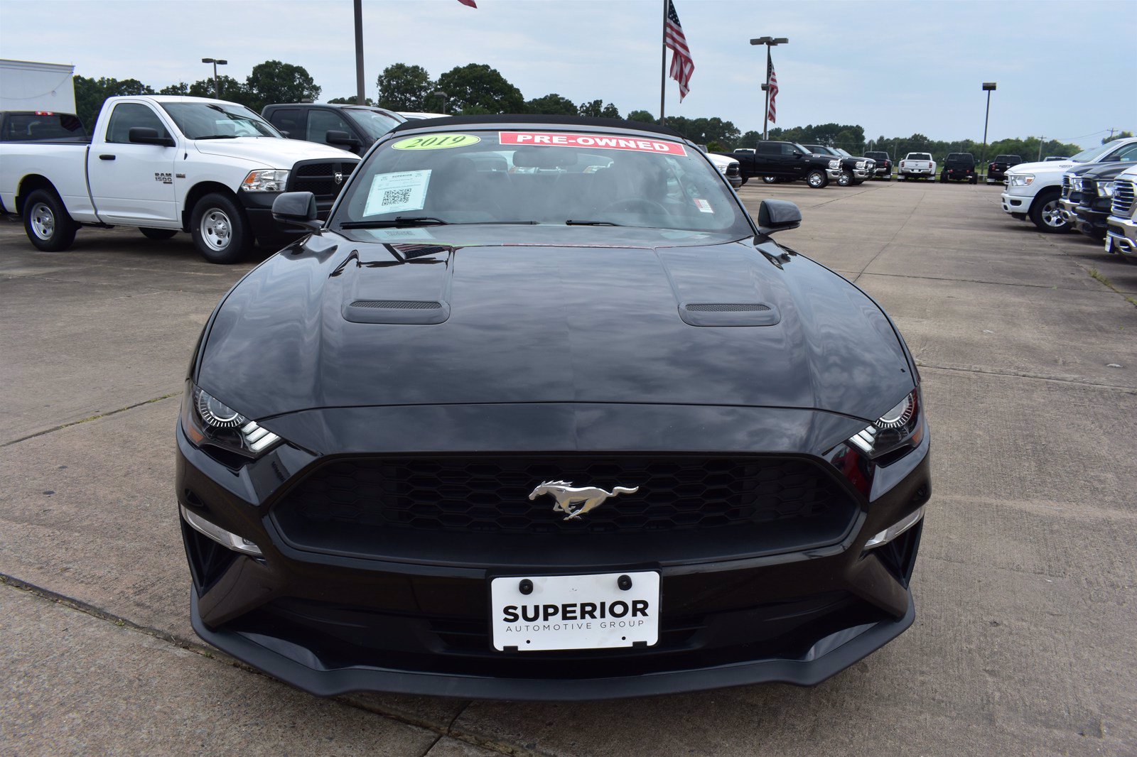Pre-Owned 2019 Ford Mustang I4 Convertible in Fayetteville #D1316